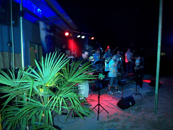 Summer Beach Party  (10)